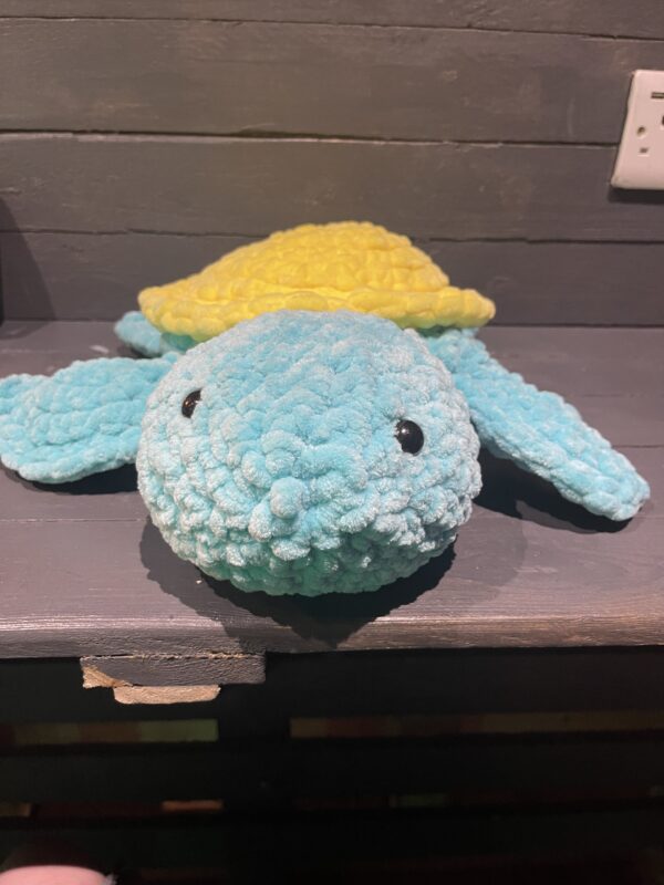 medium lovely sea turtles