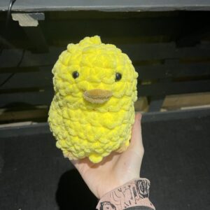 cute duck /chick