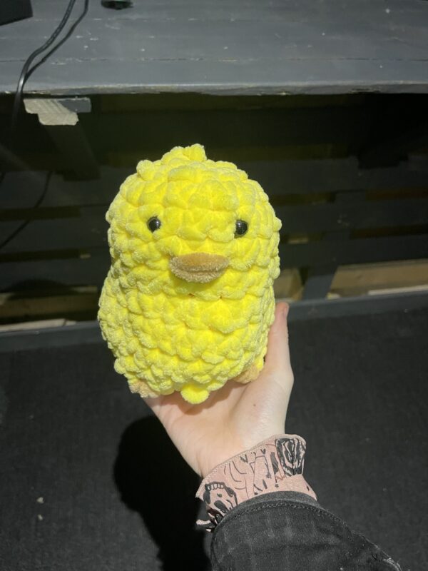 cute duck /chick