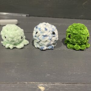 Small octopus