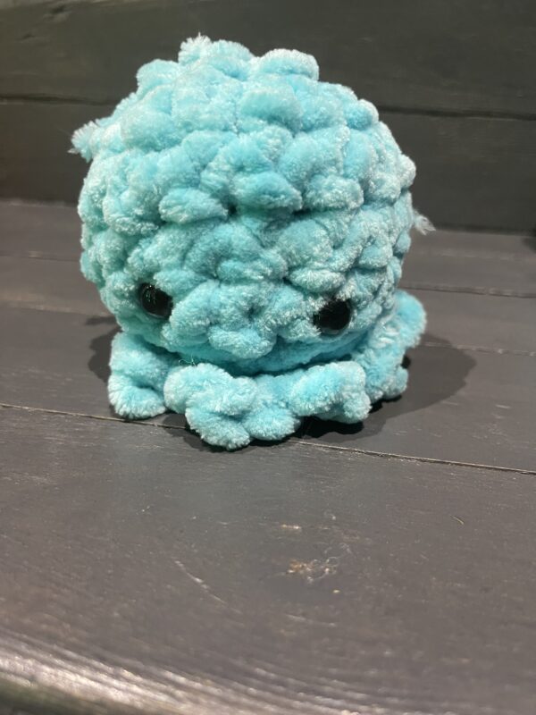 medium octopus
